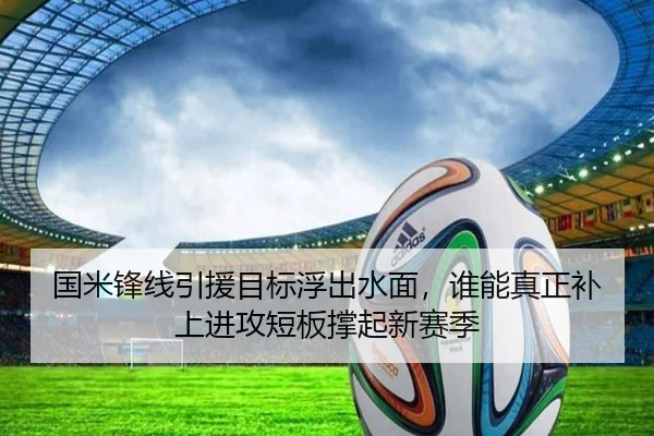 国米锋线引援目标浮出水面，谁能真正补上进攻短板撑起新赛季